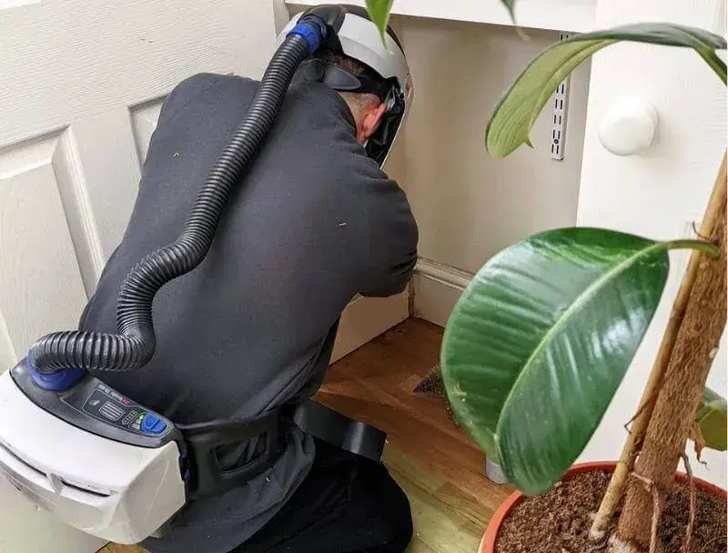 A technician surveying a property for mould and its causes